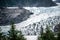 Panoramic view of Mendenhall Glacier Juneau Alaska
