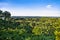 Panoramic view at mexican jungle from Palenque Temple, Mexico.