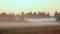 Panoramic view of misty forest,retro, vintage style look. Panorama of autumn landscape, fog in the forest at sunset time