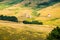 Panoramic view of Mount Cuker near Zlatibor in sunset, Serbia