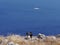 Panoramic view of Mount Mesa Vouno on Santorini island, Greece.