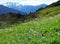 A panoramic view of Mount Shuksan from Yellow Aster Butte trail