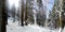 Panoramic view of a mountain roud on winter