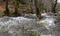 Panoramic view Mountainous rapid river with clear water in the forest in the mountains Dirfys on the island of Evia, Greece