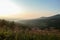 A panoramic view on the mountains during the sunset. The sun is slowly setting behind the Alps. There are purple flowers