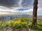 Panoramic view from Mt. Lemmon with burned trees from wildfire