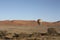 Panoramic view Namib Desert from Hot Air Balloon Namibia