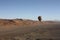 Panoramic view Namib Desert from Hot Air Balloon Namibia