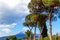 Panoramic view - Naples and Vesuvius Volcano, Italy