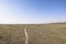 Panoramic view of National Park Lake Manyara