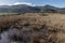 Panoramic view of the natural reserve Bosco di Tanali in the marshes of Bientina, Pisa, Italy