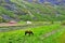 Panoramic view on Nature of Norway.Flom,Norway.