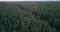 Panoramic view old deep pine forest crossed by highway