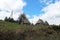 Panoramic view with old rural houses from the beautiful green plateau of Zabljak mountain to the snowy Durmitor mountain
