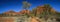 Panoramic view on the olgas domed rocks, Northern Territory, Australia