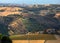 Panoramic view of olive groves and farms on rolling hills of Abruzzo.