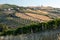 Panoramic view of olive groves, vineyards and farms on rolling hills of Abruzzo.
