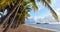 Panoramic view os Palm Cove sea shore at sunrise Queensland Aus