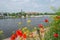 Panoramic view over beach cafes, restaurants and camping site for campers at the downtown near Elbe river with red poppies flowers