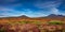 Panoramic view over beautiful colorful landscape with ancient moss and lichen, tundra flowers and meadow fields near volcanoes in