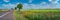 Panoramic view over beautiful farm landscape with wheat field, red poppy flowers, wind turbines to produce green energy and