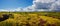 Panoramic view over beautiful summer landscape with ancient moss and tundra flowers at the Thingvallavatn lake in Iceland, summer