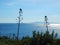 Panoramic view over Cape Sounion, Attica, Greece