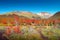 Panoramic view over magical austral forest, peatbogs dead trees, glacial streams and high mountains in Tierra del Fuego National