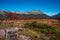 Panoramic view over magical austral forests, peat bogs and high mountains in Tierra del Fuego National Park, Patagonia