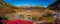 Panoramic view over magical austral forests, peat bogs and high mountains in Tierra del Fuego National Park, Patagonia