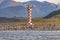 Panoramic view over a rookery of King Cormorants at Beagle Channel islands with a lighthouse in Patagonia, near Ushuaia, Argentina