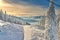 Panoramic view over the ski slope, ski resort in Transylvania, Pine forest covered in snow on winter season,Mountain landscape in