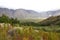 A panoramic view over a valley with vineyards in Slanghoek Valley, South Africa.