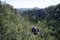 Panoramic view over the Wehlgrund to the Lilienstein in Saxon Switzerland