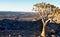 Panoramic view over the world second largest Canyon