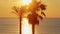 Panoramic view palm trees on background golden sunset in ocean on tropical beach