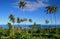 Panoramic view through the palm trees and native vegetation to Pacific Ocean horizon with remote tropical island