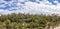 panoramic view of the Palmeral of Elche_2