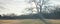 Panoramic view park in wintertime with bare tree and bench