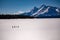 Panoramic view of the people hiking in the Grand Teton National Park. Wyoming