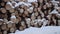 Panoramic view of pile of logs covered in snow on winter day