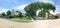 Panoramic view quite neighborhood with tall trees canopy, pathway and single family houses