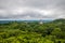 Panoramic view of rainforest and top of mayan temples at Tikal National Park - Guatemala