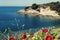 Panoramic view with red poppies rocky bay and pine forest in Greece Sithonia No people