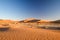 Panoramic view of red sand dunes in Sossusvlei near Sesriem in famous Namib Desert in Namibia, Africa