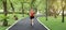 Panoramic view of relaxed smiling Asian fitness runner woman listening music and running workout in natural park