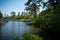 Panoramic View of a Relaxing Pond in Florida. Niceville, Florida