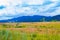 Panoramic view of Rhodope Mountains and meadow Bulgaria