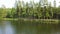 Panoramic view from right to left on the forest area in the river. Aerial survey