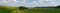 Panoramic view of the road in a field of sunflowers and corn overlooking a green forest. Cherkasy region, Ukraine